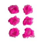 Colet gasa fuccia - Paq x 12 unid