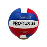 Pelota de Voley