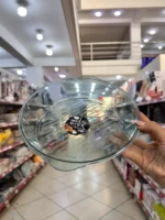 Bandeja De Plástico 21cm