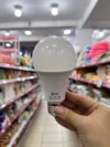 Foco Led 15W