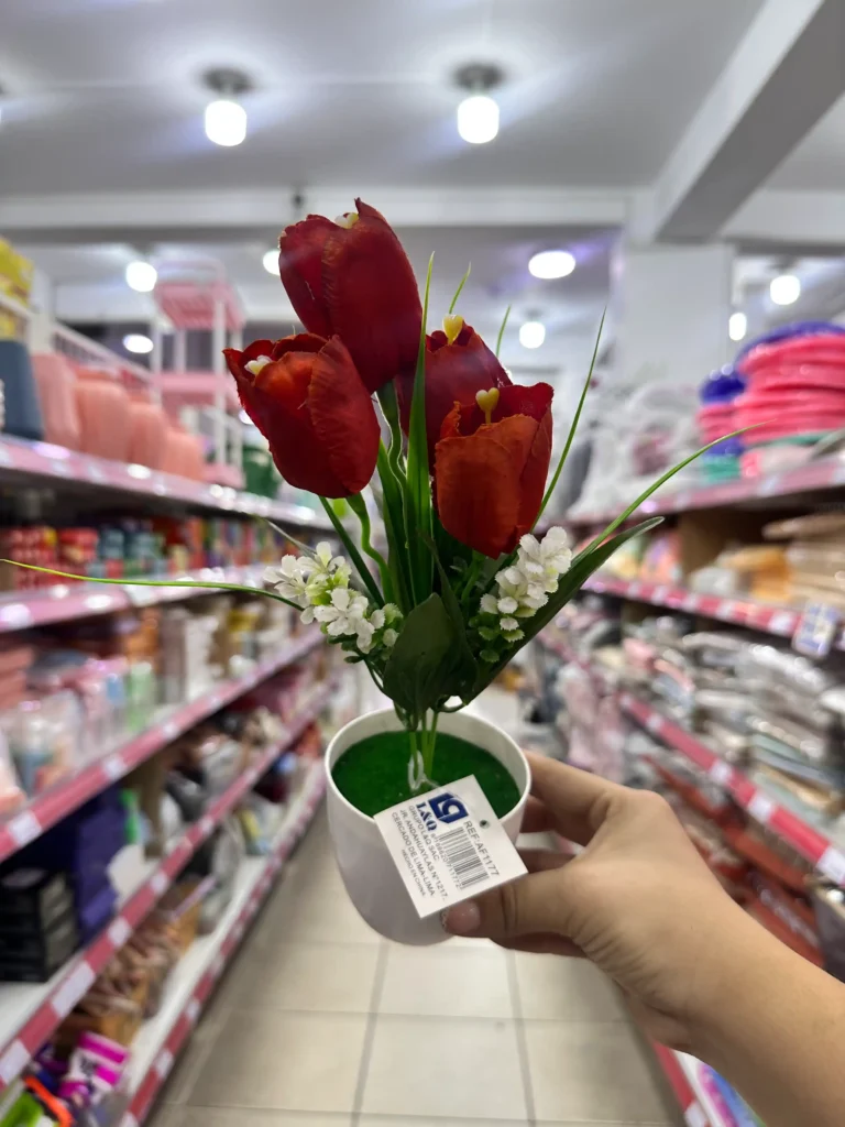 Maceta con Flores