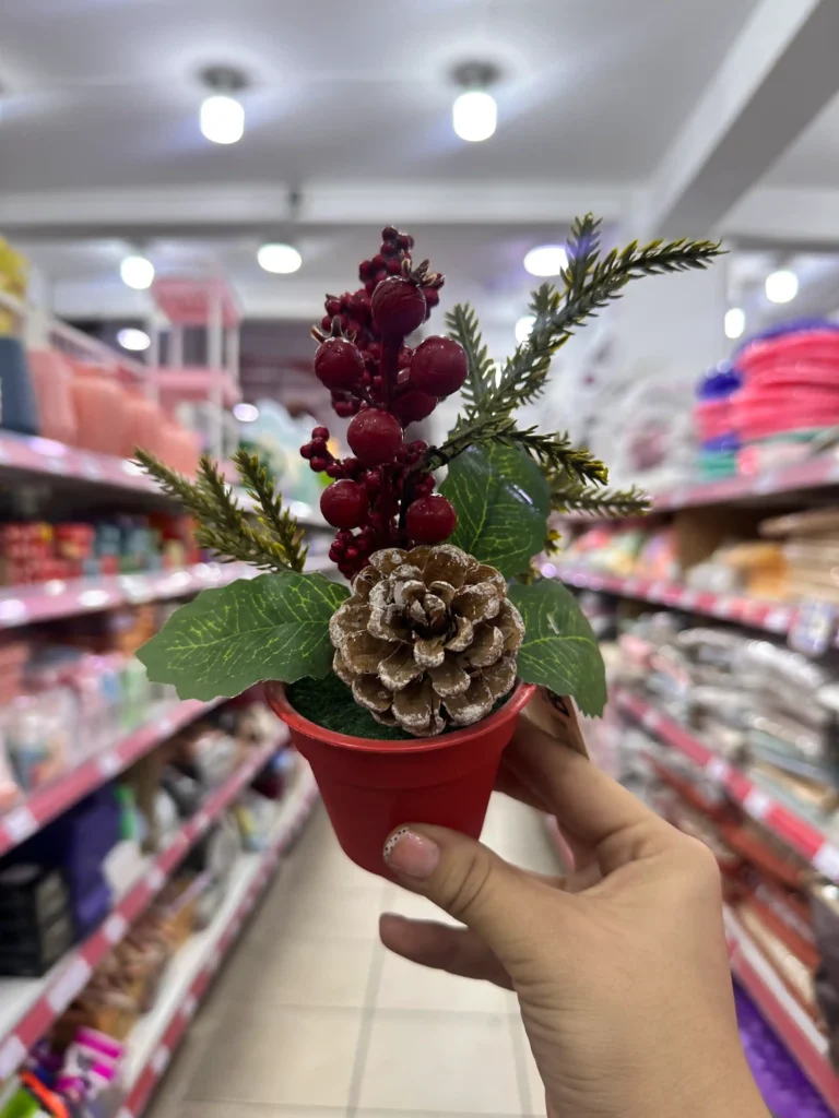 Maceta con Flores