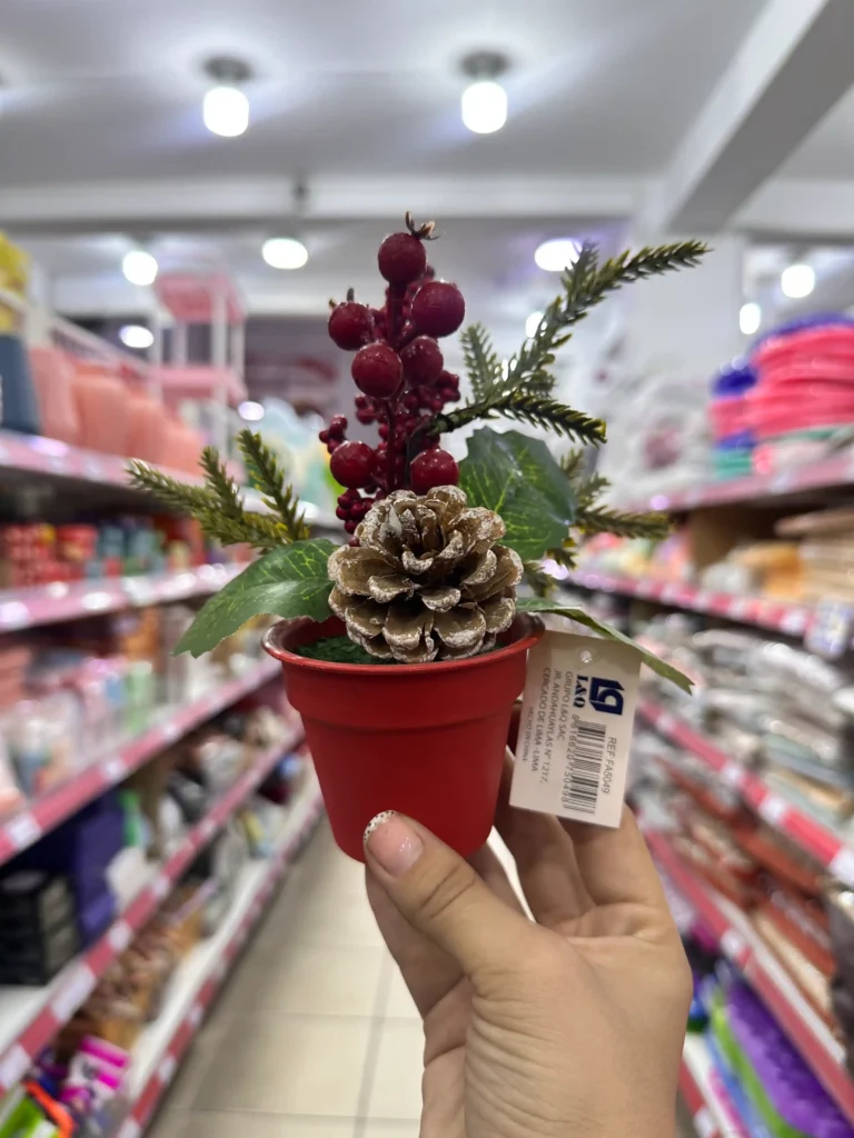 Maceta con Flores