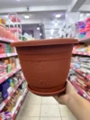Maceta 20CM